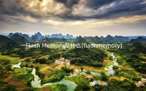 Flash Memory是什么(flashmemory)