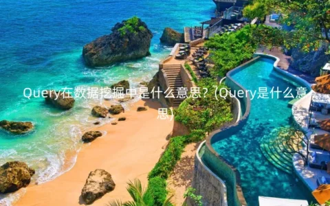 Query在数据挖掘中是什么意思？(Query是什么意思)