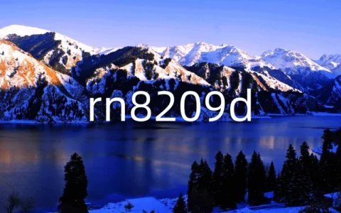 rn8209d